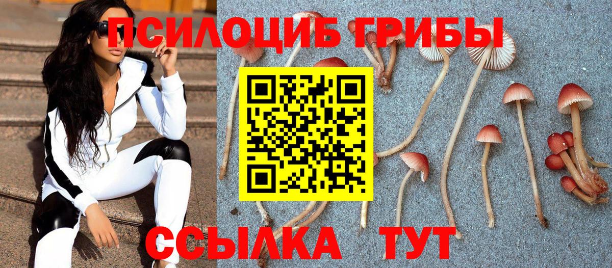 Якутск  Галлюциногенные грибы Cubensis  Псилоцибиновые грибы мицелий  купить   Вход с VPN 