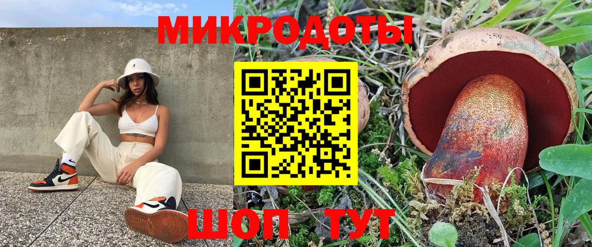 Псилоцибиновые грибы мицелий Якутск